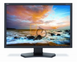 Monitor NEC MultiSync P242W