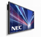 Monitor NEC MultiSync P703